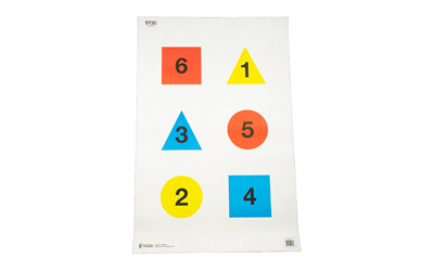 [ACTDT-2C-100] ACTION TGT COMMAND TRNG TGT 100PK