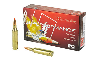 [H80463] HRNDY SF 243WIN 95GR SST 20/200