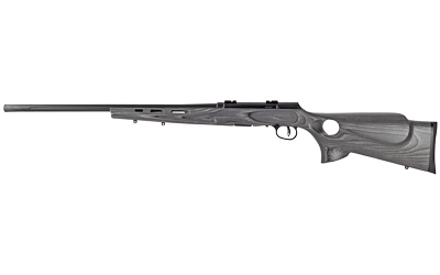[SV47005] SAV A17 TRGT LAM THMBHLE 17HMR 22"