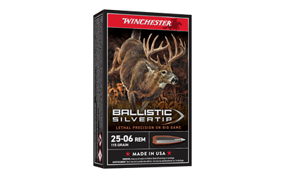 [WNSBST2506] WIN BLSTC TIP 2506RM 115GR 20/200